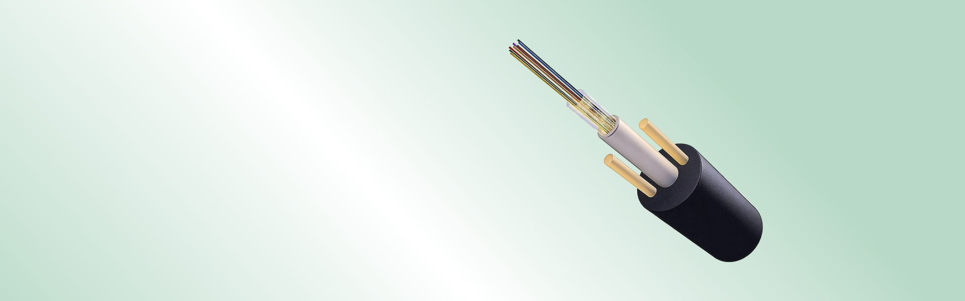 Только в этом месяце —<br> выгодная цена!